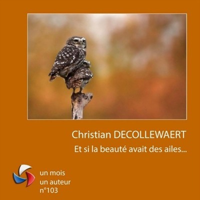 Un mois, un auteur - FPF.