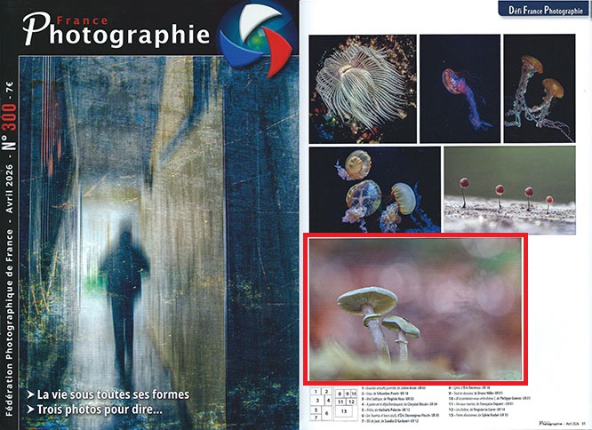 France Photographie