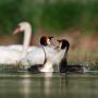 ./140/imgw/10_DAN_8776_Avec_accentuation_Bruit_1_3.jpg