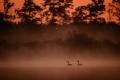 ./140/imgw/12_DSC_5261.jpg
